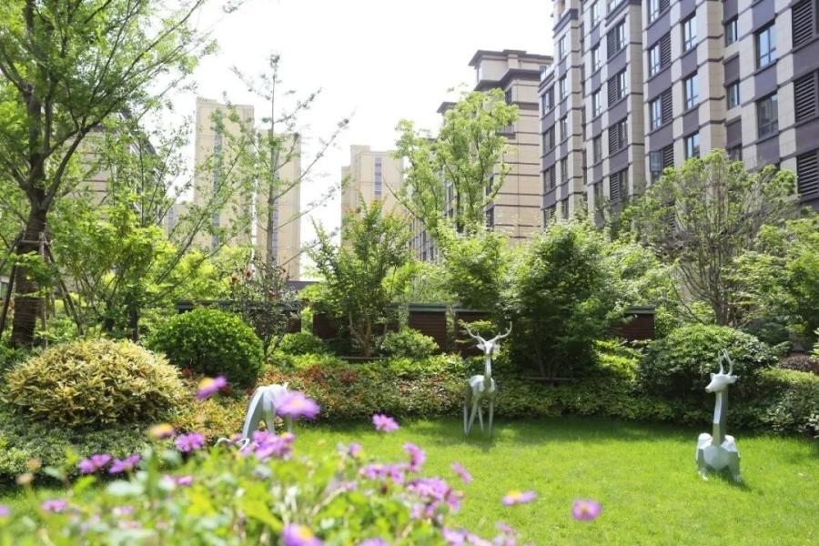 金皖·御璟兰庭 | 四载时光淬炼，感恩美好相遇(图11)