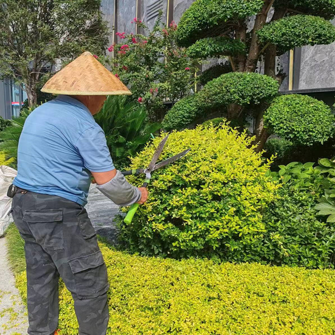 兰庭物业景观焕新提升行动 扮靓园区喜迎双节(图4)