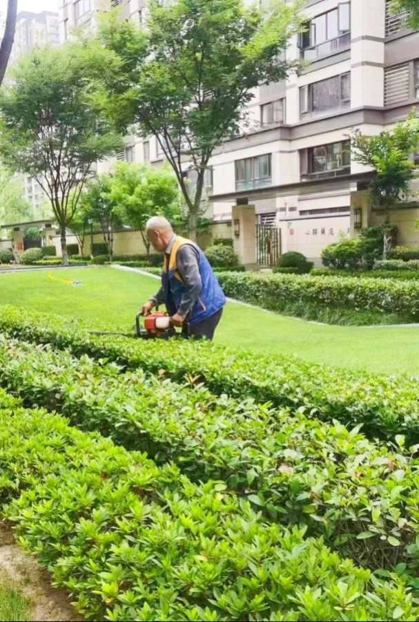 兰庭物业景观焕新提升行动 扮靓园区喜迎双节(图10)